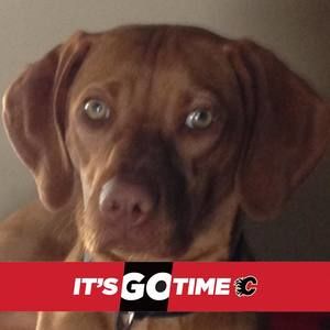 Meet your Posher, Maryann